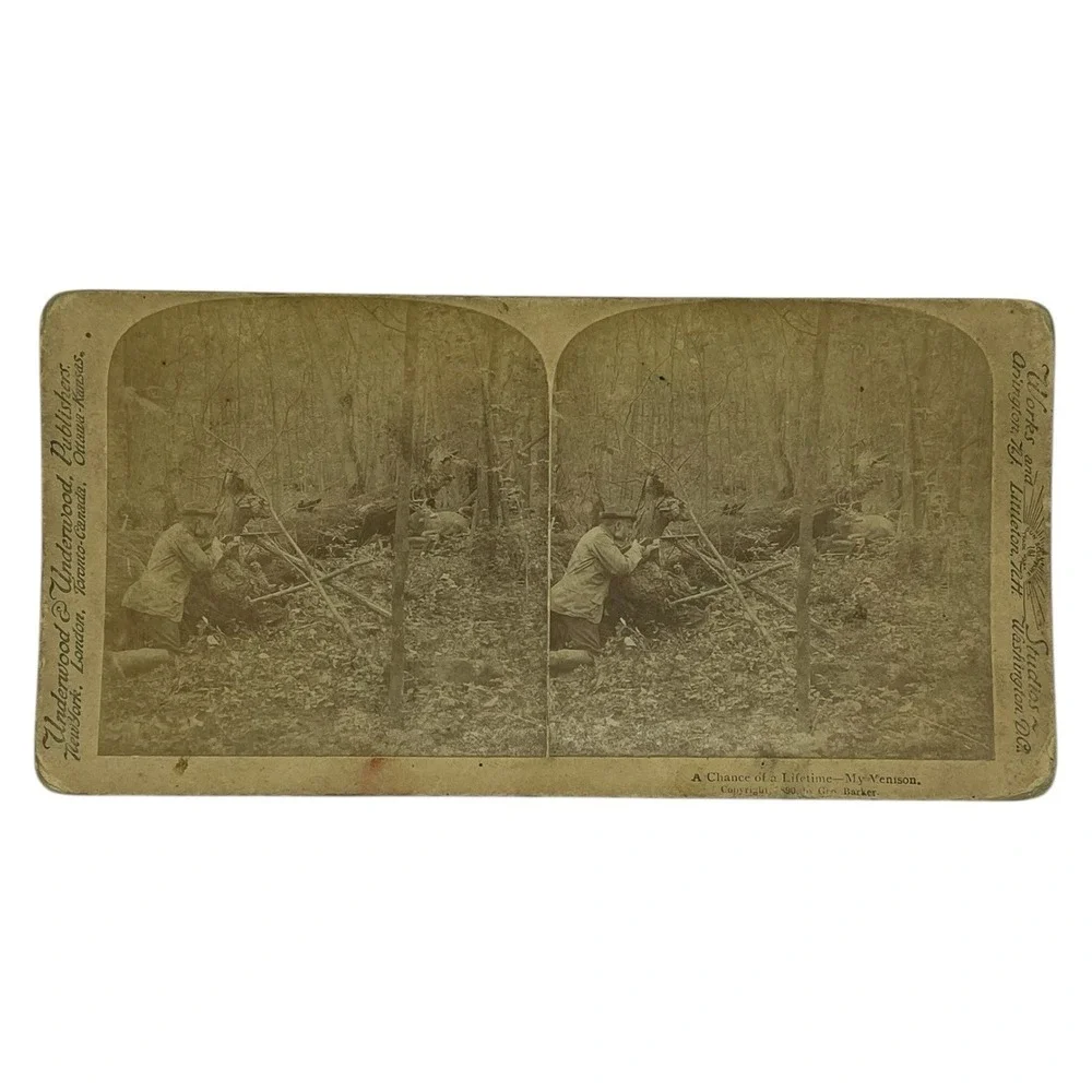 A Chance of a Lifetime‎ My Venison 1890 Hunting Stereoview Underwood